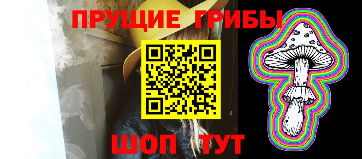 Озёрск  купить закладку  Вход с VPN  Псилоцибиновые грибы Psilocybine cubensis 